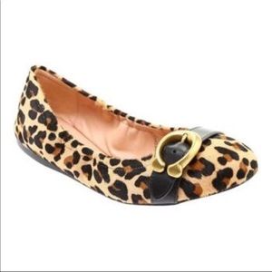 Coach Stanton Ballet flats